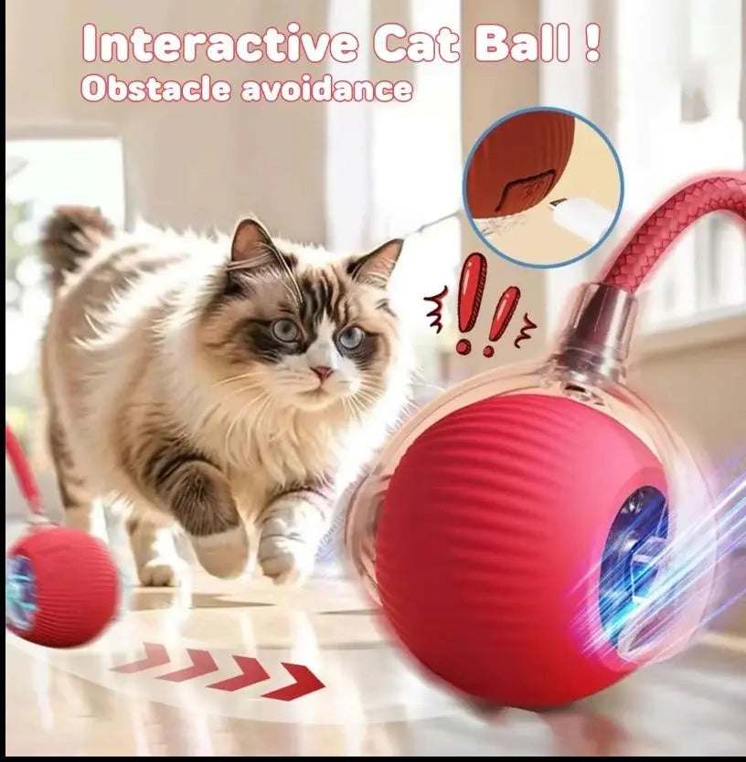 Cat&Dog Toy Interactive Ball with Bird Chirping Sound USB Rechargeable Anti-Depression Fun Gift for Cats&Dogs Smart Motion Sensor Anti-Lost Chew-Resistant Design Ultra-Quiet Operation Long-Lasting Battery Multi-Surface Compatibility,Dog Products, Cat Toys
