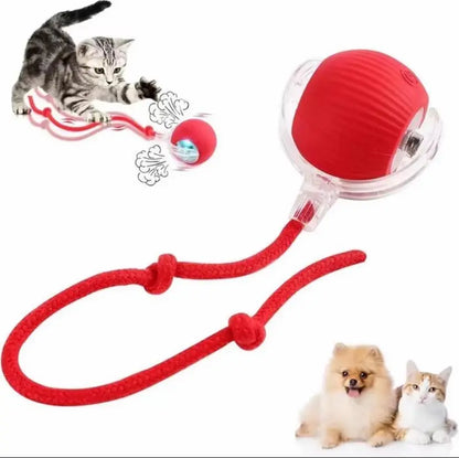 Cat&Dog Toy Interactive Ball with Bird Chirping Sound USB Rechargeable Anti-Depression Fun Gift for Cats&Dogs Smart Motion Sensor Anti-Lost Chew-Resistant Design Ultra-Quiet Operation Long-Lasting Battery Multi-Surface Compatibility,Dog Products, Cat Toys