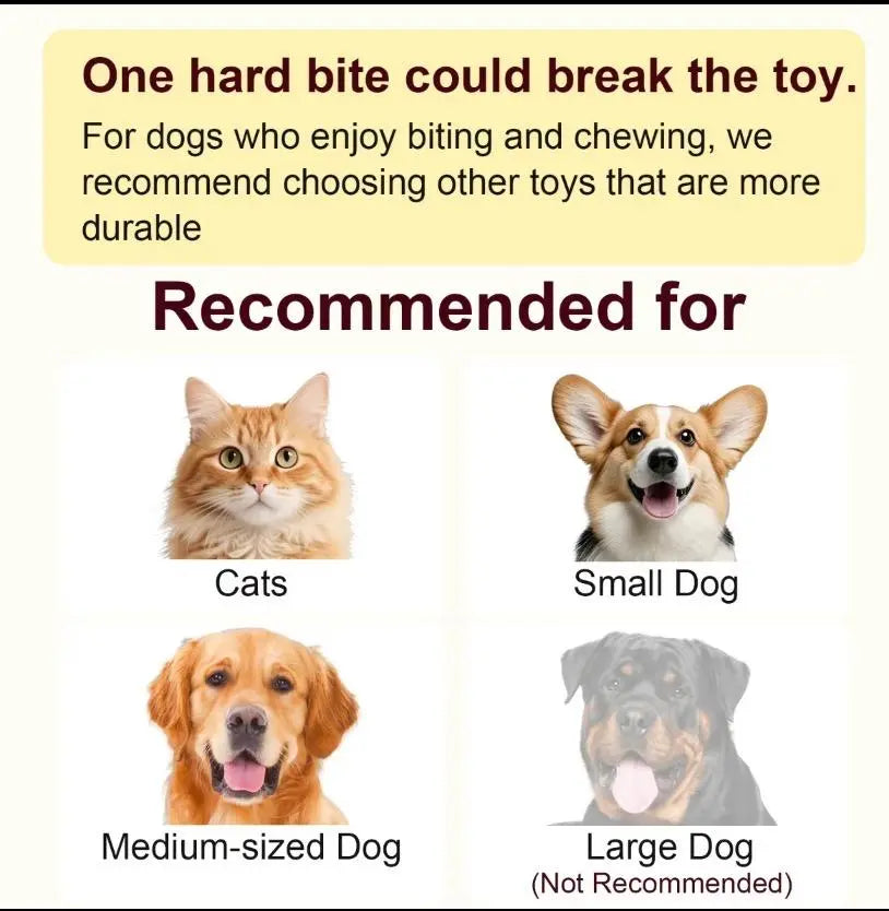 Cat&Dog Toy Interactive Ball with Bird Chirping Sound USB Rechargeable Anti-Depression Fun Gift for Cats&Dogs Smart Motion Sensor Anti-Lost Chew-Resistant Design Ultra-Quiet Operation Long-Lasting Battery Multi-Surface Compatibility,Dog Products, Cat Toys