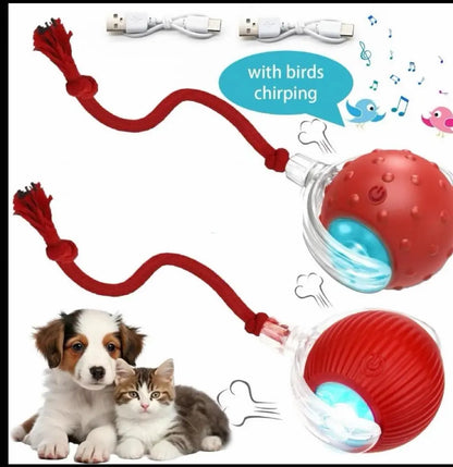 Cat&Dog Toy Interactive Ball with Bird Chirping Sound USB Rechargeable Anti-Depression Fun Gift for Cats&Dogs Smart Motion Sensor Anti-Lost Chew-Resistant Design Ultra-Quiet Operation Long-Lasting Battery Multi-Surface Compatibility,Dog Products, Cat Toys