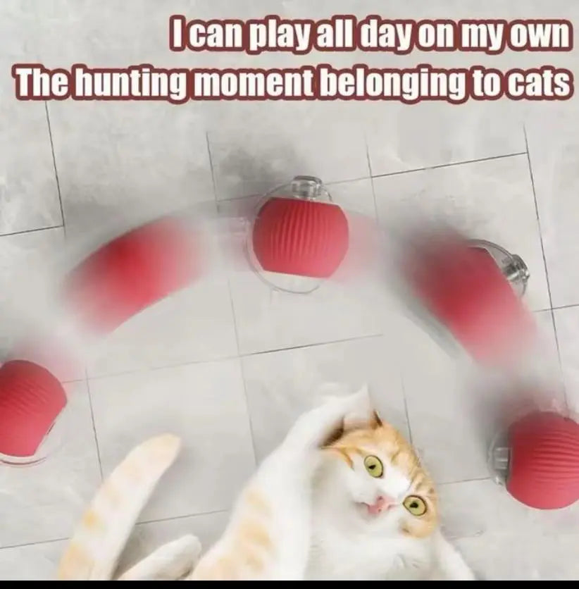 Cat&Dog Toy Interactive Ball with Bird Chirping Sound USB Rechargeable Anti-Depression Fun Gift for Cats&Dogs Smart Motion Sensor Anti-Lost Chew-Resistant Design Ultra-Quiet Operation Long-Lasting Battery Multi-Surface Compatibility,Dog Products, Cat Toys