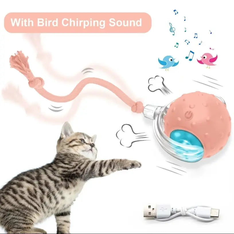 Cat&Dog Toy Interactive Ball with Bird Chirping Sound USB Rechargeable Anti-Depression Fun Gift for Cats&Dogs Smart Motion Sensor Anti-Lost Chew-Resistant Design Ultra-Quiet Operation Long-Lasting Battery Multi-Surface Compatibility,Dog Products, Cat Toys